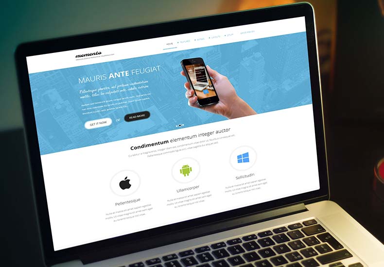 Praesent sed felis massa