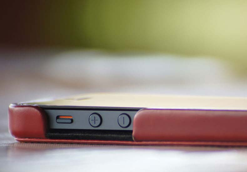 Ullamcorper dui iaculis