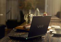 Pharetra odio aliquam