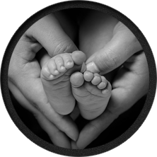 Pellentesque elementum