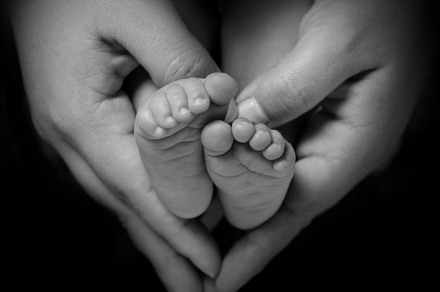 Pellentesque elementum